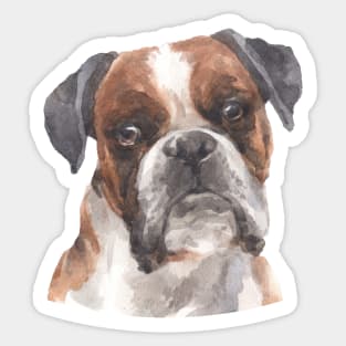 Boxer Watercolor Art Sticker